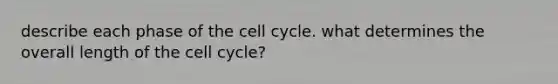 describe each phase of the cell cycle. what determines the overall length of the cell cycle?