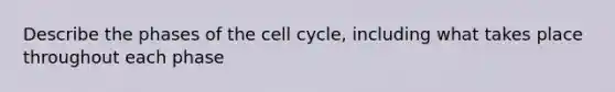 Describe the phases of the cell cycle, including what takes place throughout each phase