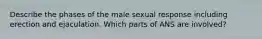 Describe the phases of the male sexual response including erection and ejaculation. Which parts of ANS are involved?