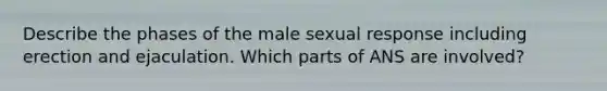 Describe the phases of the male sexual response including erection and ejaculation. Which parts of ANS are involved?