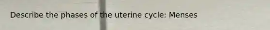 Describe the phases of the uterine cycle: Menses