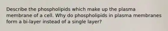 Describe the phospholipids which make up the plasma membrane of a cell. Why do phospholipids in plasma membranes form a bi-layer instead of a single layer?