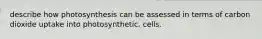 describe how photosynthesis can be assessed in terms of carbon dioxide uptake into photosynthetic. cells.