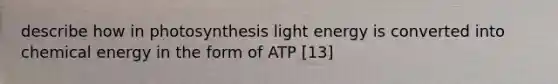 describe how in photosynthesis light energy is converted into chemical energy in the form of ATP [13]