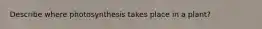 Describe where photosynthesis takes place in a plant?