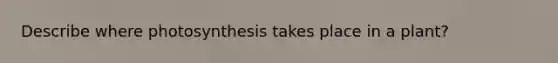 Describe where photosynthesis takes place in a plant?