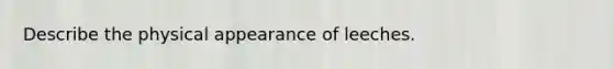 Describe the physical appearance of leeches.