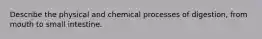 Describe the physical and chemical processes of digestion, from mouth to small intestine.