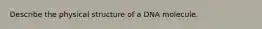 Describe the physical structure of a DNA molecule.