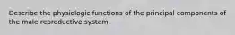 Describe the physiologic functions of the principal components of the male reproductive system.