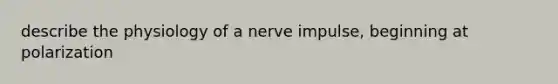 describe the physiology of a nerve impulse, beginning at polarization