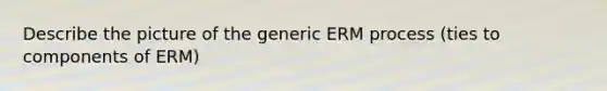 Describe the picture of the generic ERM process (ties to components of ERM)