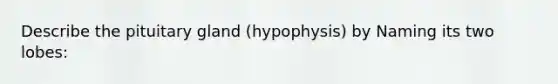 Describe the pituitary gland (hypophysis) by Naming its two lobes: