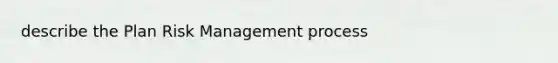 describe the Plan Risk Management process