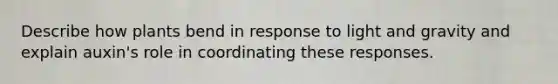 Describe how plants bend in response to light and gravity and explain auxin's role in coordinating these responses.