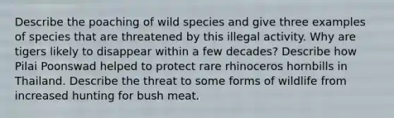 Describe the poaching of wild species and give three examples of species that are threatened by this illegal activity. Why are tigers likely to disappear within a few decades? Describe how Pilai Poonswad helped to protect rare rhinoceros hornbills in Thailand. Describe the threat to some forms of wildlife from increased hunting for bush meat.