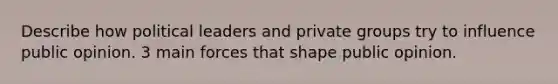 Describe how political leaders and private groups try to influence public opinion. 3 main forces that shape public opinion.