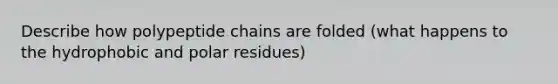 Describe how polypeptide chains are folded (what happens to the hydrophobic and polar residues)