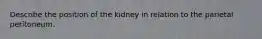 Describe the position of the kidney in relation to the parietal peritoneum.