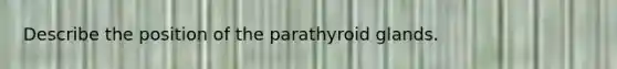 Describe the position of the parathyroid glands.