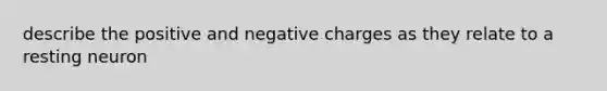 describe the positive and negative charges as they relate to a resting neuron