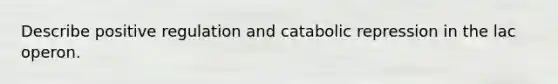 Describe positive regulation and catabolic repression in the lac operon.