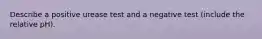 Describe a positive urease test and a negative test (include the relative pH).