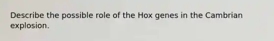 Describe the possible role of the Hox genes in the Cambrian explosion.