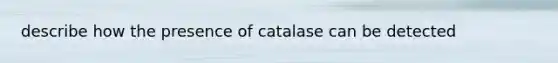 describe how the presence of catalase can be detected