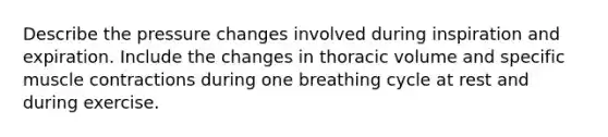 Describe the pressure changes involved during inspiration and expiration. Include the changes in thoracic volume and specific muscle contractions during one breathing cycle at rest and during exercise.