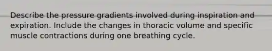 Describe the pressure gradients involved during inspiration and expiration. Include the changes in thoracic volume and specific <a href='https://www.questionai.com/knowledge/k0LBwLeEer-muscle-contraction' class='anchor-knowledge'>muscle contraction</a>s during one breathing cycle.