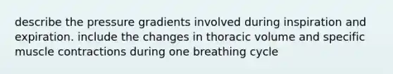 describe the pressure gradients involved during inspiration and expiration. include the changes in thoracic volume and specific <a href='https://www.questionai.com/knowledge/k0LBwLeEer-muscle-contraction' class='anchor-knowledge'>muscle contraction</a>s during one breathing cycle