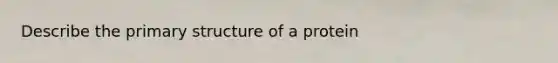 Describe the primary structure of a protein