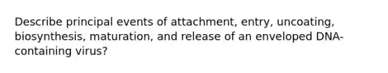 Describe principal events of attachment, entry, uncoating, biosynthesis, maturation, and release of an enveloped DNA-containing virus?