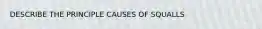 DESCRIBE THE PRINCIPLE CAUSES OF SQUALLS