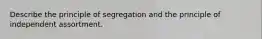 Describe the principle of segregation and the principle of independent assortment.