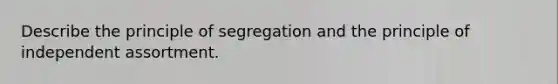 Describe the principle of segregation and the principle of independent assortment.