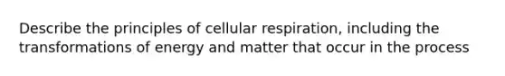 Describe the principles of cellular respiration, including the transformations of energy and matter that occur in the process