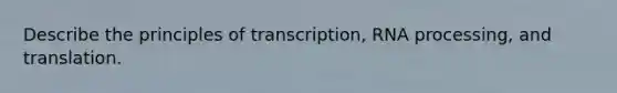 Describe the principles of transcription, RNA processing, and translation.