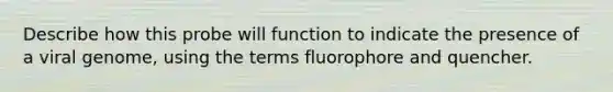 Describe how this probe will function to indicate the presence of a viral genome, using the terms fluorophore and quencher.