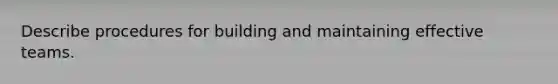 Describe procedures for building and maintaining effective teams.