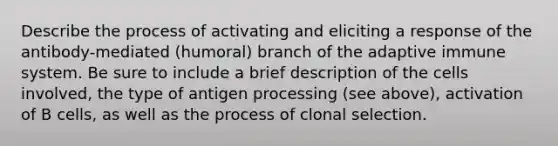 Describe the process of activating and eliciting a response of the antibody-mediated (humoral) branch of the adaptive immune system. Be sure to include a brief description of the cells involved, the type of antigen processing (see above), activation of B cells, as well as the process of clonal selection.