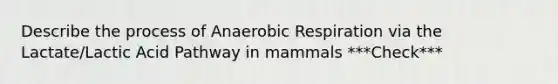 Describe the process of An<a href='https://www.questionai.com/knowledge/kyxGdbadrV-aerobic-respiration' class='anchor-knowledge'>aerobic respiration</a> via the Lactate/Lactic Acid Pathway in mammals ***Check***