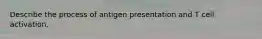 Describe the process of antigen presentation and T cell activation.