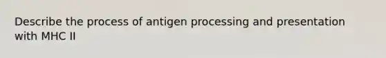 Describe the process of antigen processing and presentation with MHC II