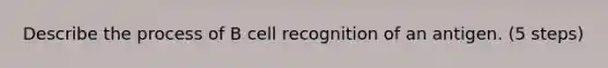 Describe the process of B cell recognition of an antigen. (5 steps)