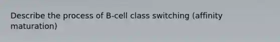 Describe the process of B-cell class switching (affinity maturation)