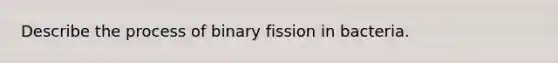 Describe the process of binary fission in bacteria.