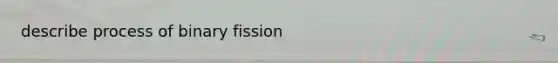 describe process of binary fission