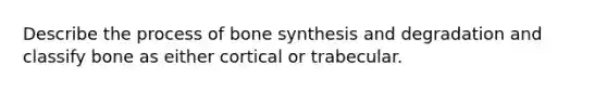 Describe the process of bone synthesis and degradation and classify bone as either cortical or trabecular.